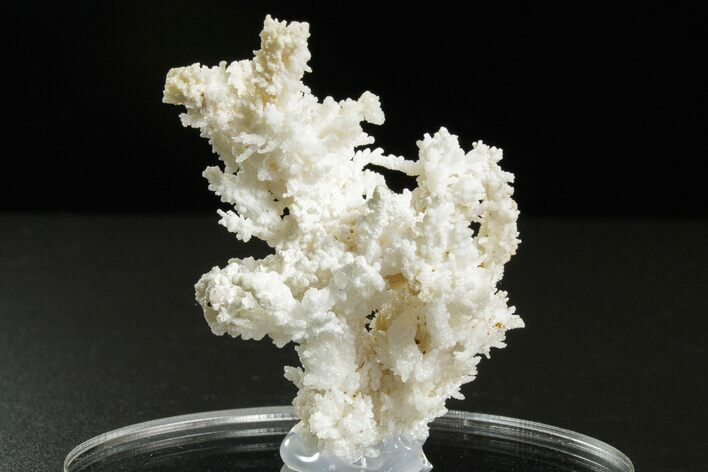 Intricate, Fluorescent Aragonite Formation - Nevada #350270